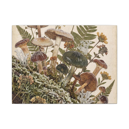 Winter Wild Mushrooms Herbarium Canvas Art | Enchanting Decor