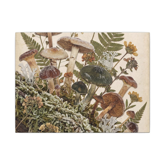 Winter Wild Mushrooms Herbarium Canvas Art | Enchanting Decor