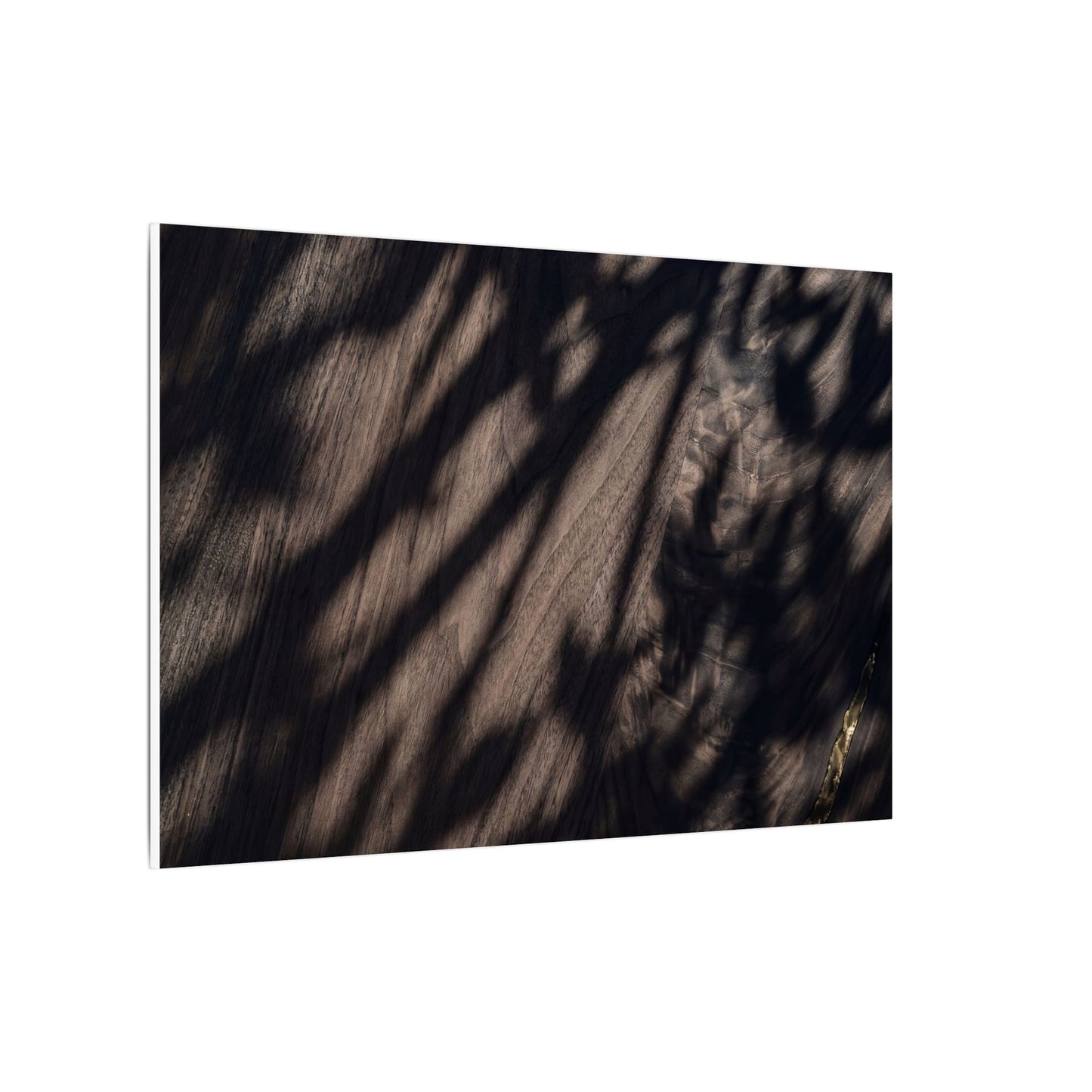 Shadow Play Summer Canvas Art | Dark Japandi Moody Design