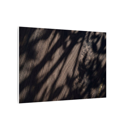 Shadow Play Summer Canvas Art | Dark Japandi Moody Design