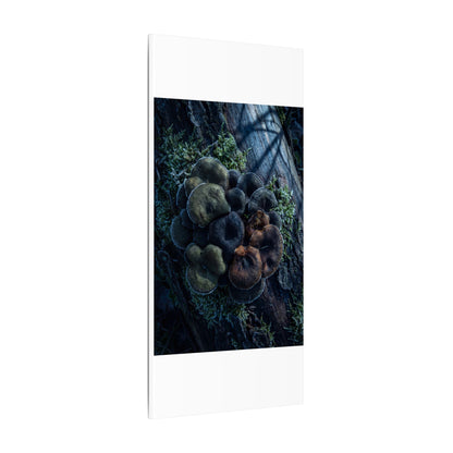 Wild Mushrooms Moody Minimal Canvas Art | Moody Dark Japandi Art