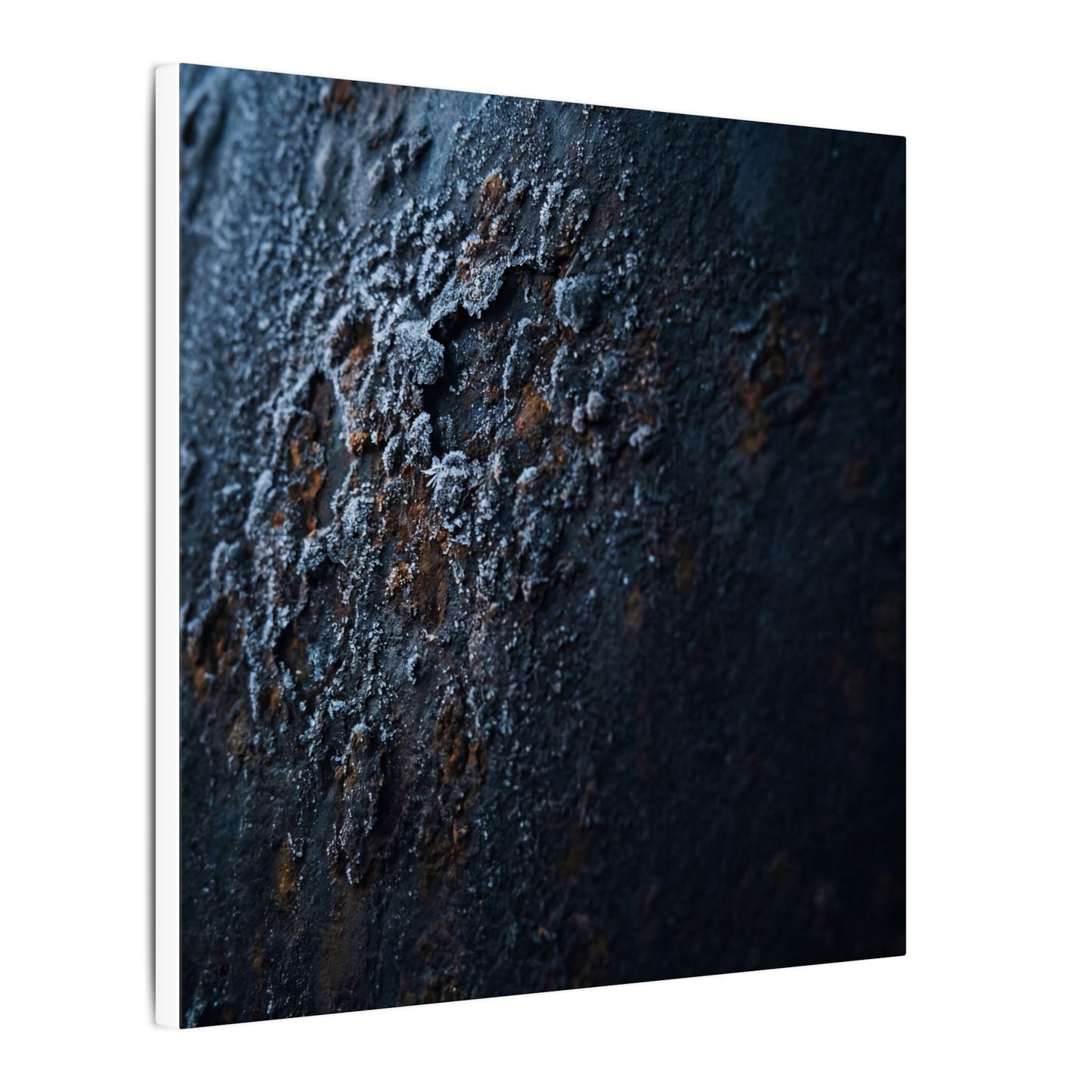 Rust Patina Canvas Art | Winter Dark Japandi Shadow Zen Art