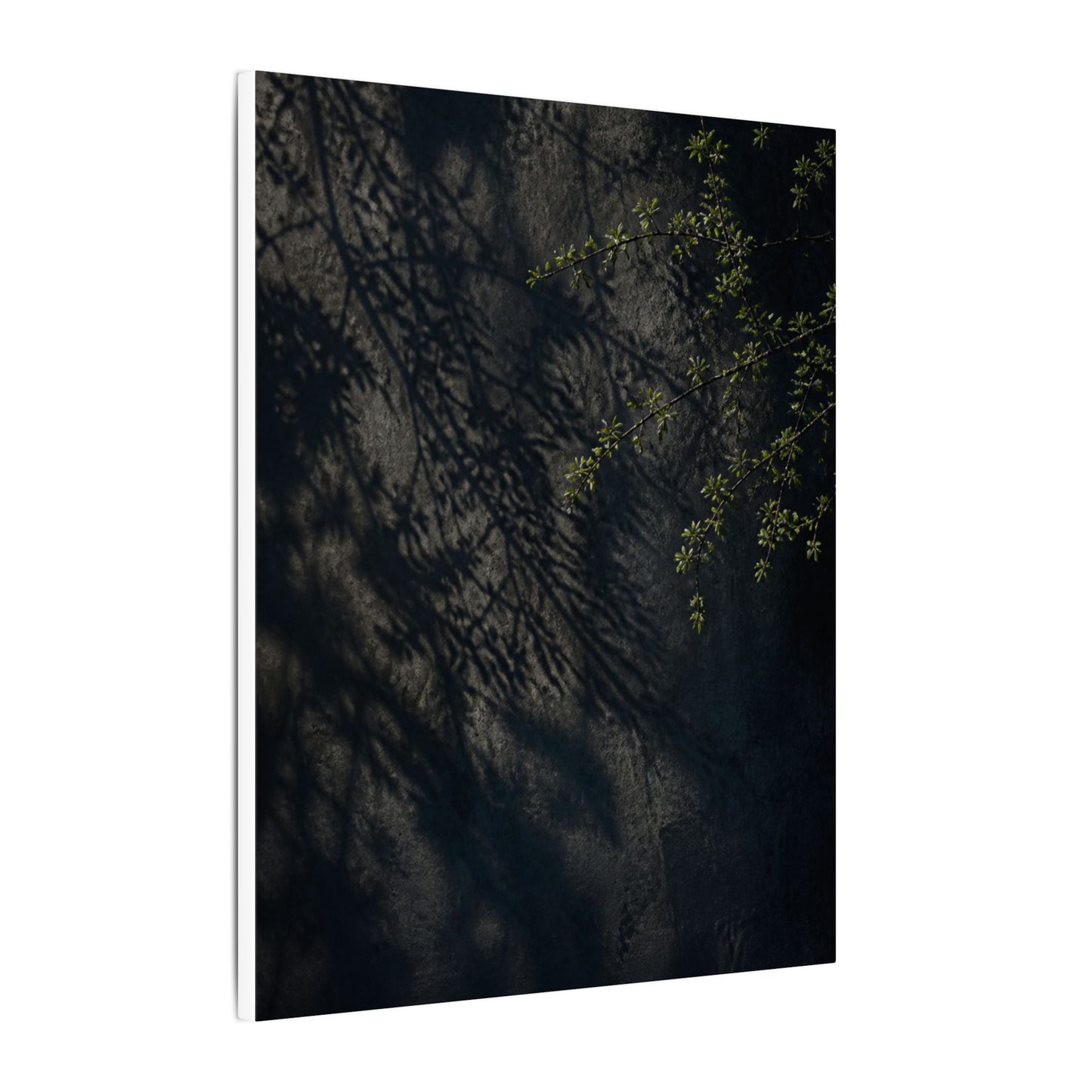 Overcast Shadow Play Canvas Art - Dark Japandi Seijaku