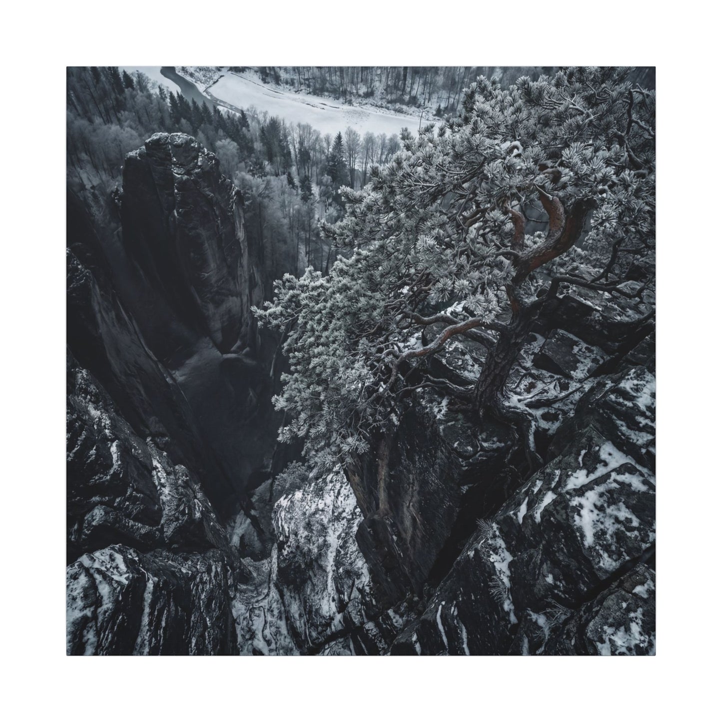 Dark Japandi Pine Tree in Dappled | Dark Texture Canvas Art
