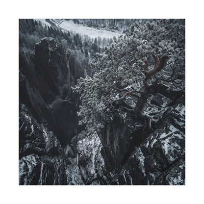 Dark Japandi Pine Tree in Dappled | Dark Texture Canvas Art