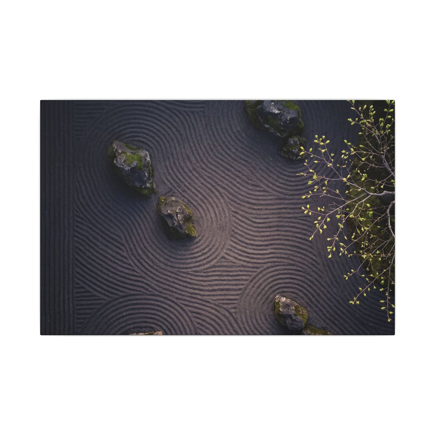 Dark Japandi Rock Garden in Dawn | Shadow Zen Canvas Art