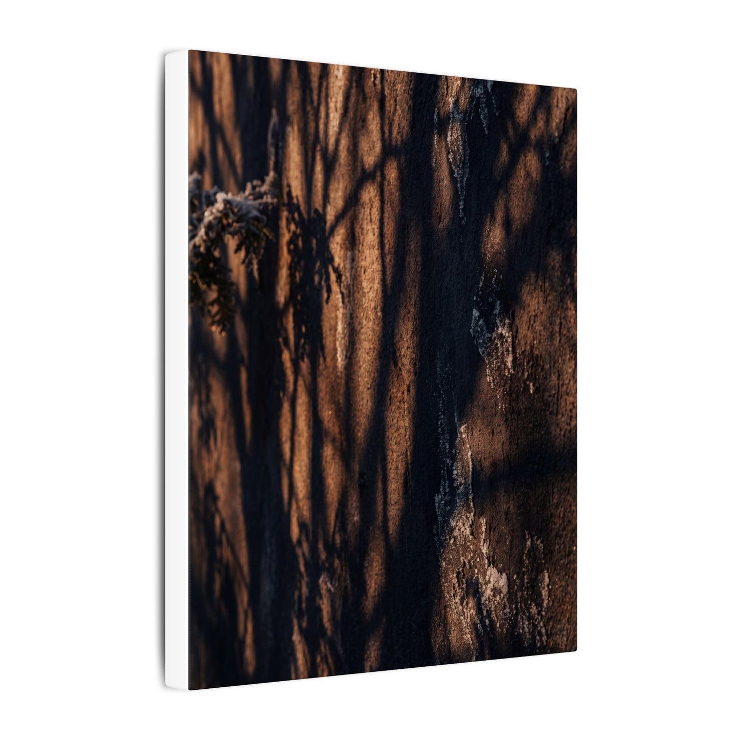 Golden Hour Shadow Play Canvas Art - Dark Japandi Fukinsei