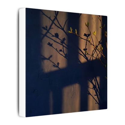 Shadow Play Canvas Art | Spring Dark Japandi Shadow Zen Art