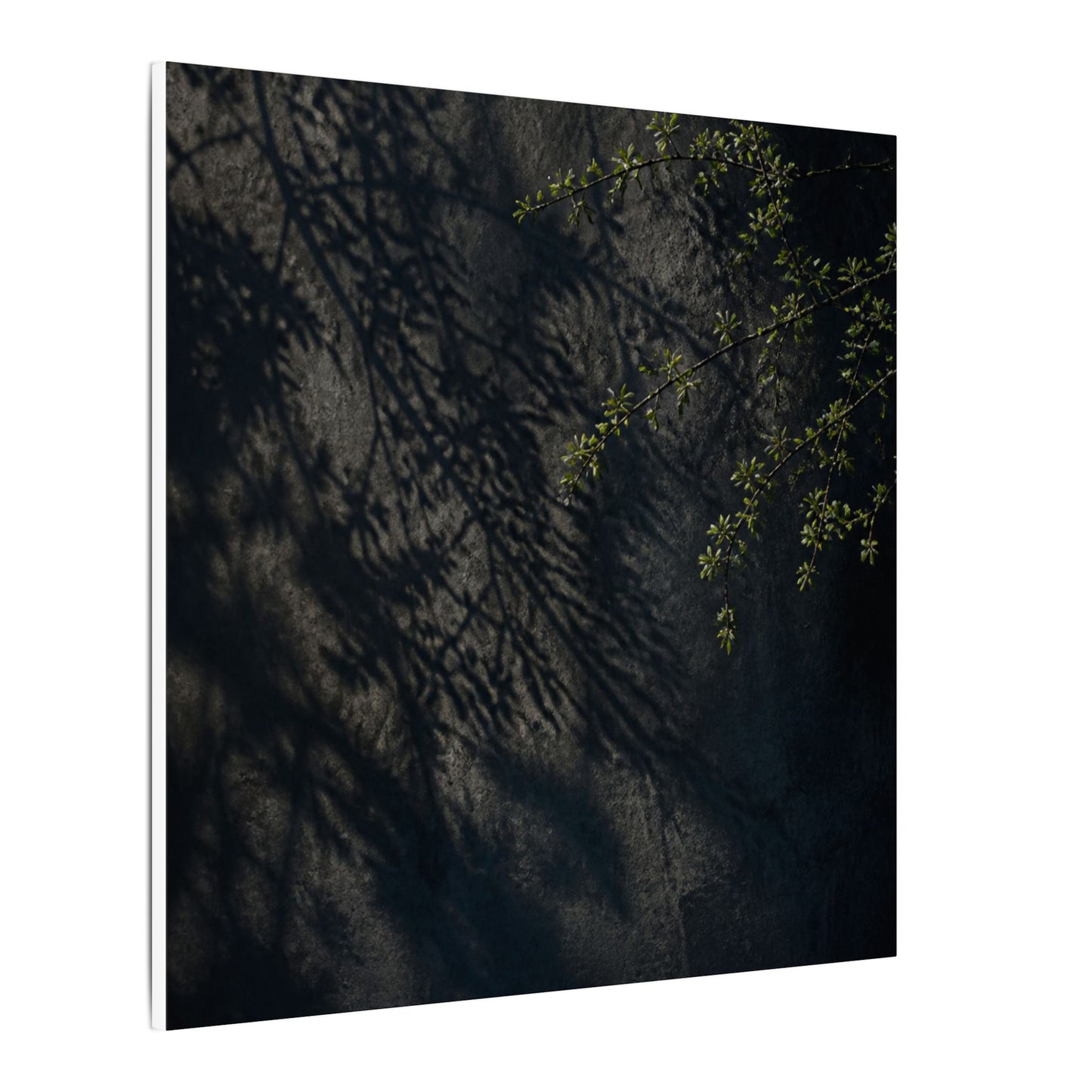 Overcast Shadow Play Canvas Art - Dark Japandi Seijaku