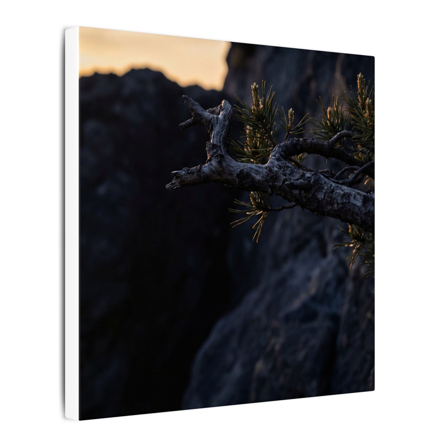 Pine Tree Moody Minimal Canvas Art | Sophisticated Dark Japandi Art
