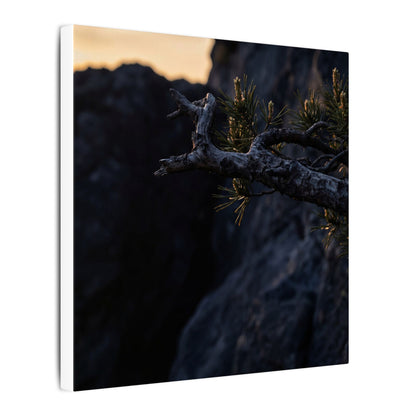 Pine Tree Moody Minimal Canvas Art | Sophisticated Dark Japandi Art