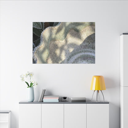 Dappled Ceramic Bowl Canvas Art - Japandi Seijaku