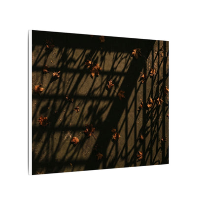 Dark Japandi Shadow Play in Golden Hour | Moody Minimal Canvas Art