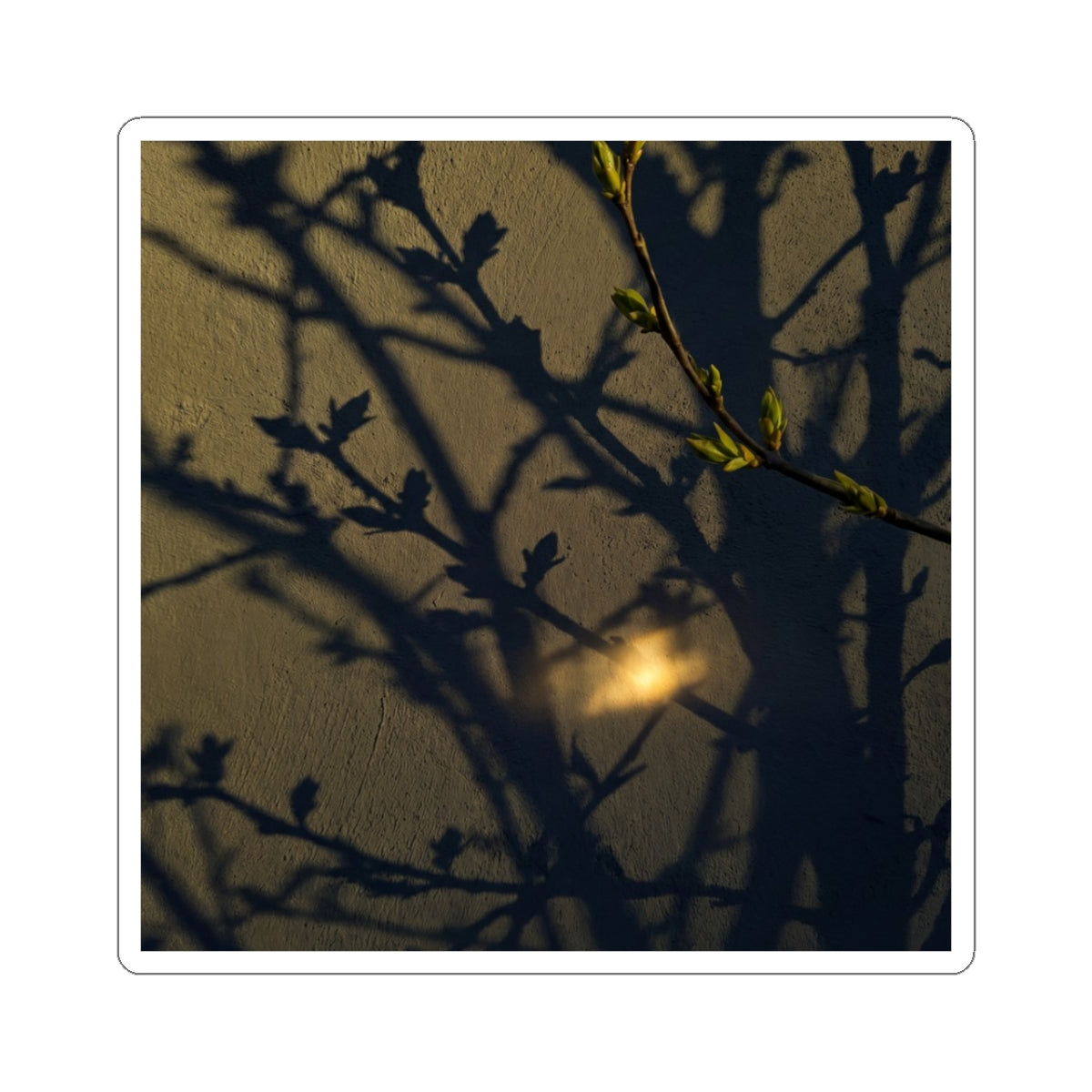 Dark Japandi Shadow Play in Golden Hour | Moody Minimal Sticker Art Print