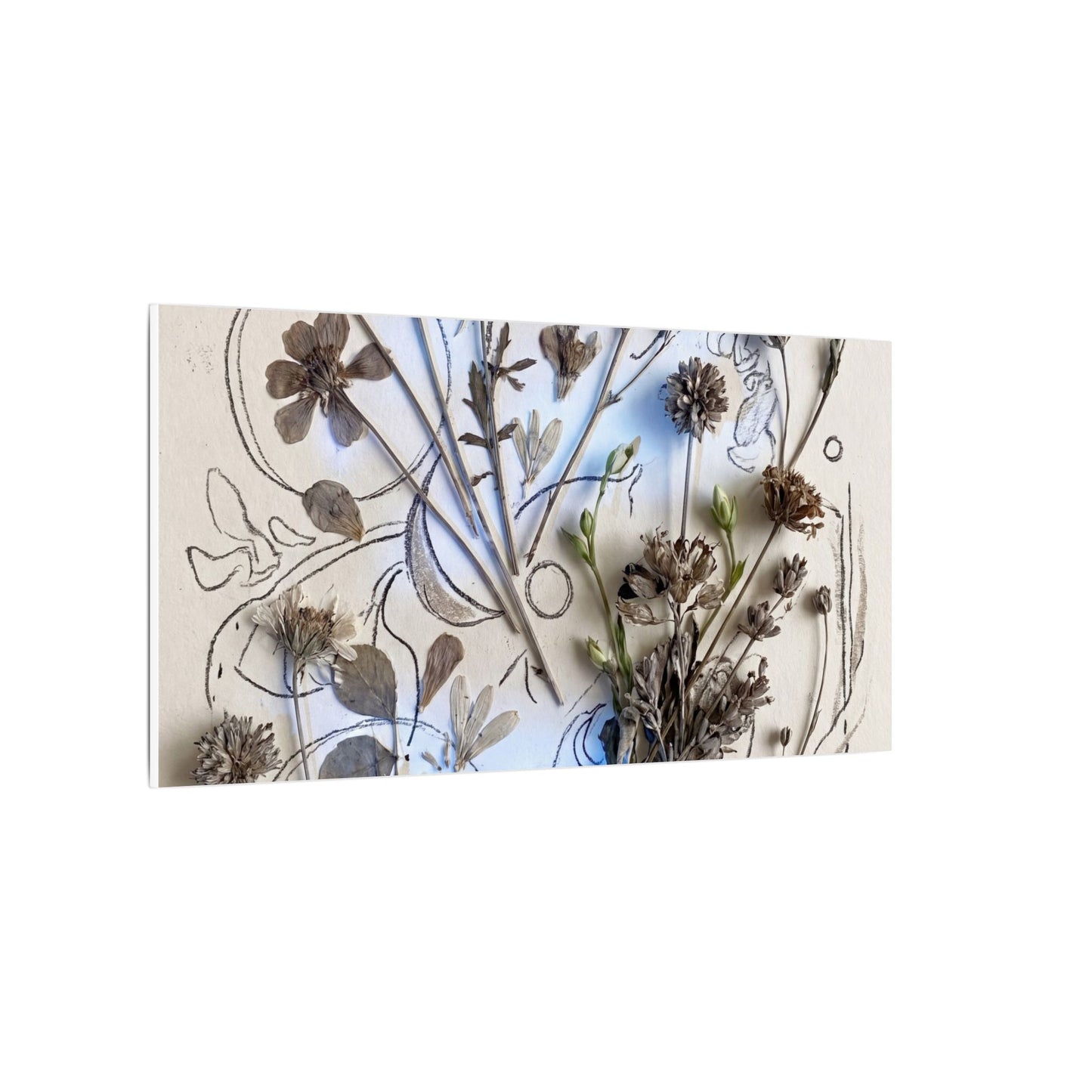 Dried Flowers Minimal Line Canvas Art | Elegant Japandi Art