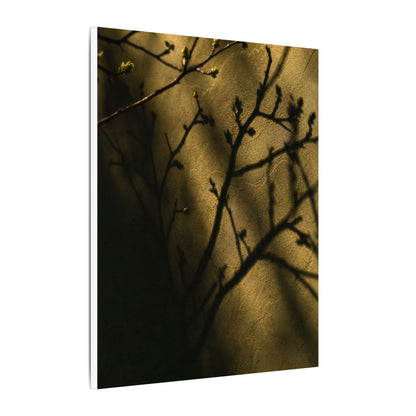Golden Hour Shadow Play Canvas Art - Dark Japandi Seijaku