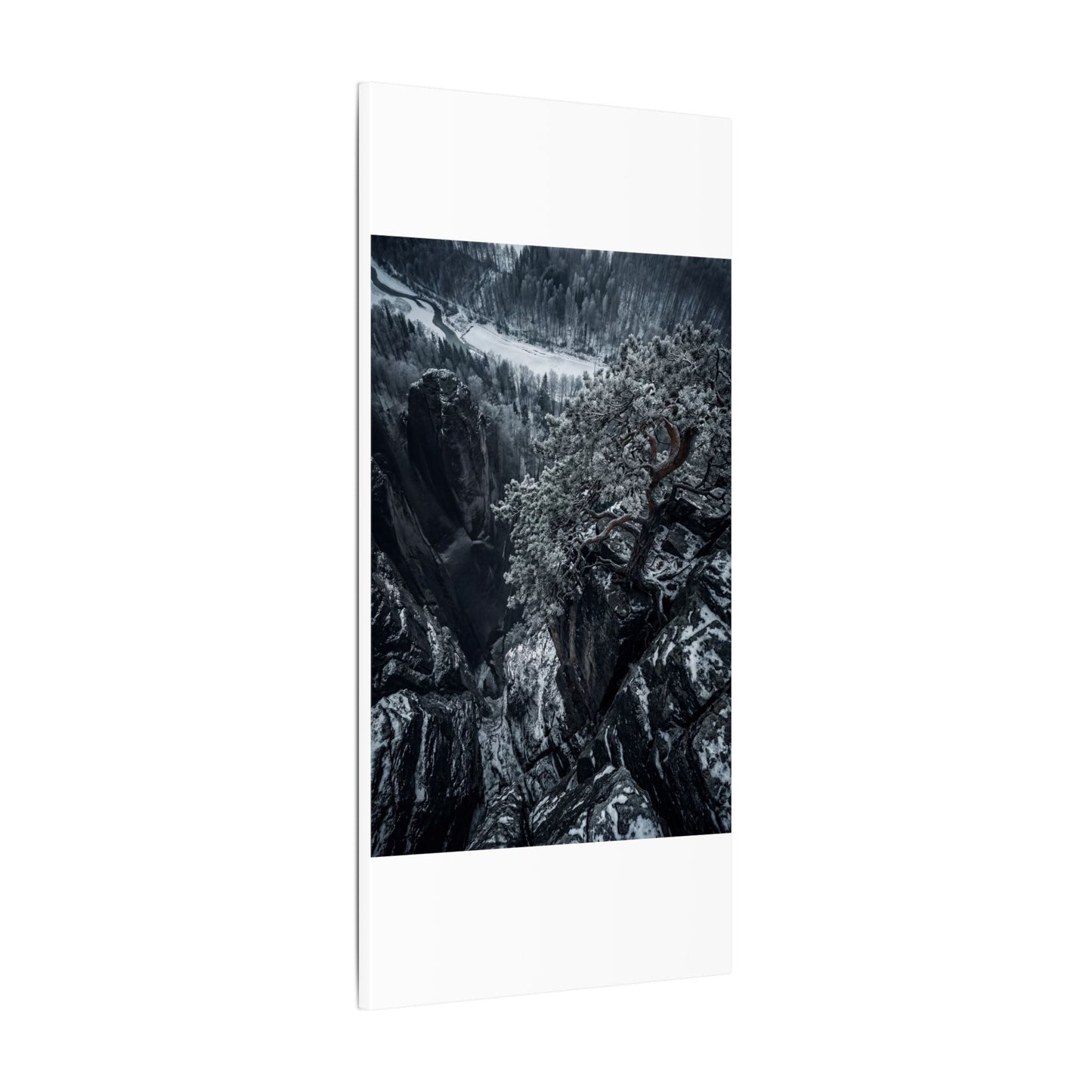 Dark Japandi Pine Tree in Dappled | Dark Texture Canvas Art