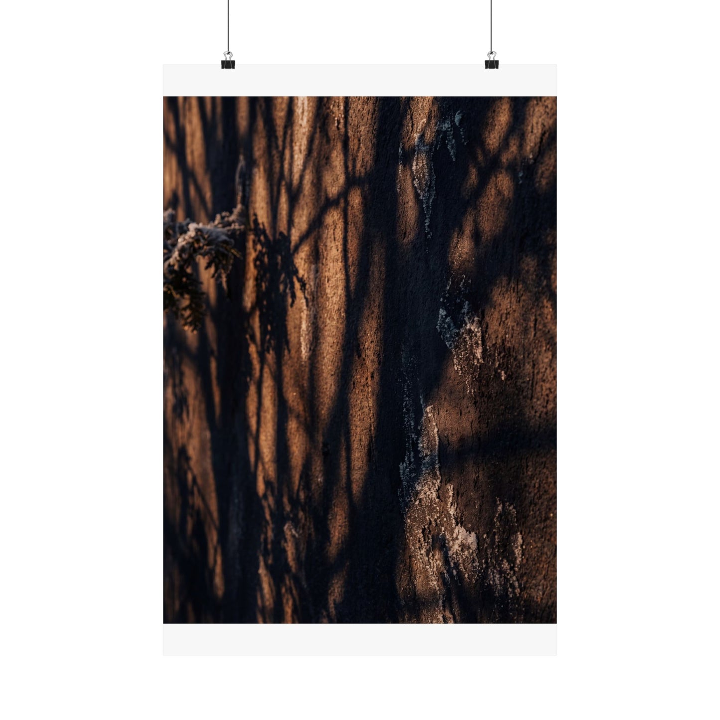 Shadow Play Wall Art Print | Winter Dark Japandi Moody Minimal Art Art Print