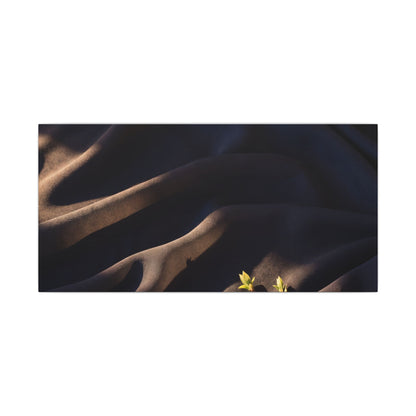 Silk Drape Shadow Zen Canvas Art | Luxurious Dark Japandi Art