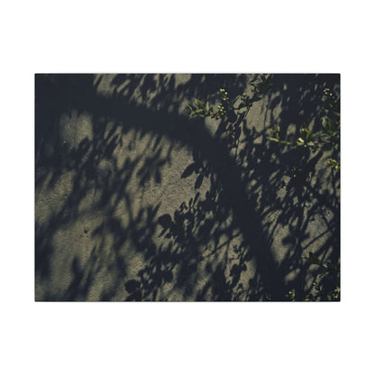 Atmospheric Shadow Play Canvas Art - Moody Minimal Dark Japandi