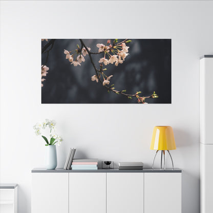 Cherry Blossom Moody Minimal Canvas Art | Bold Dark Japandi Art