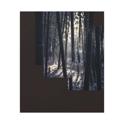 Bamboo Grove Canvas Art | Winter Dark Japandi Moody Minimal Art