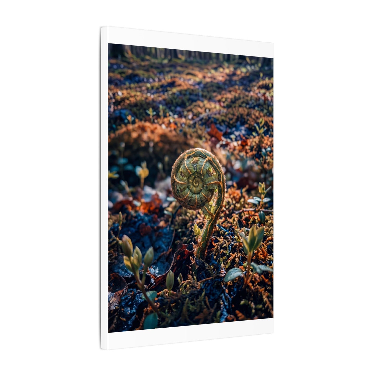 Kintsugi Fern Unfurling in Dappled | Gold Vein Canvas Art