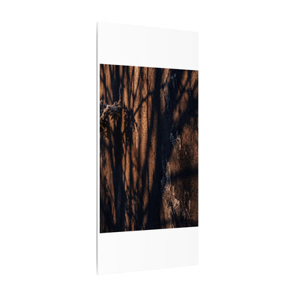 Golden Hour Shadow Play Canvas Art - Dark Japandi Fukinsei