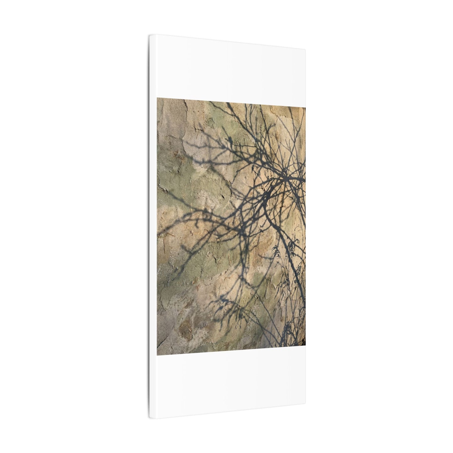 Japandi Shadow Play in Golden Hour | Texture Canvas Art