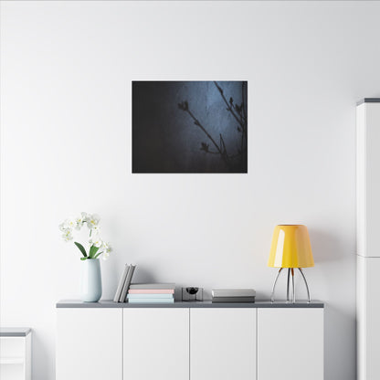 Shadow Play Canvas Art | Spring Dark Japandi Moody Minimal Art