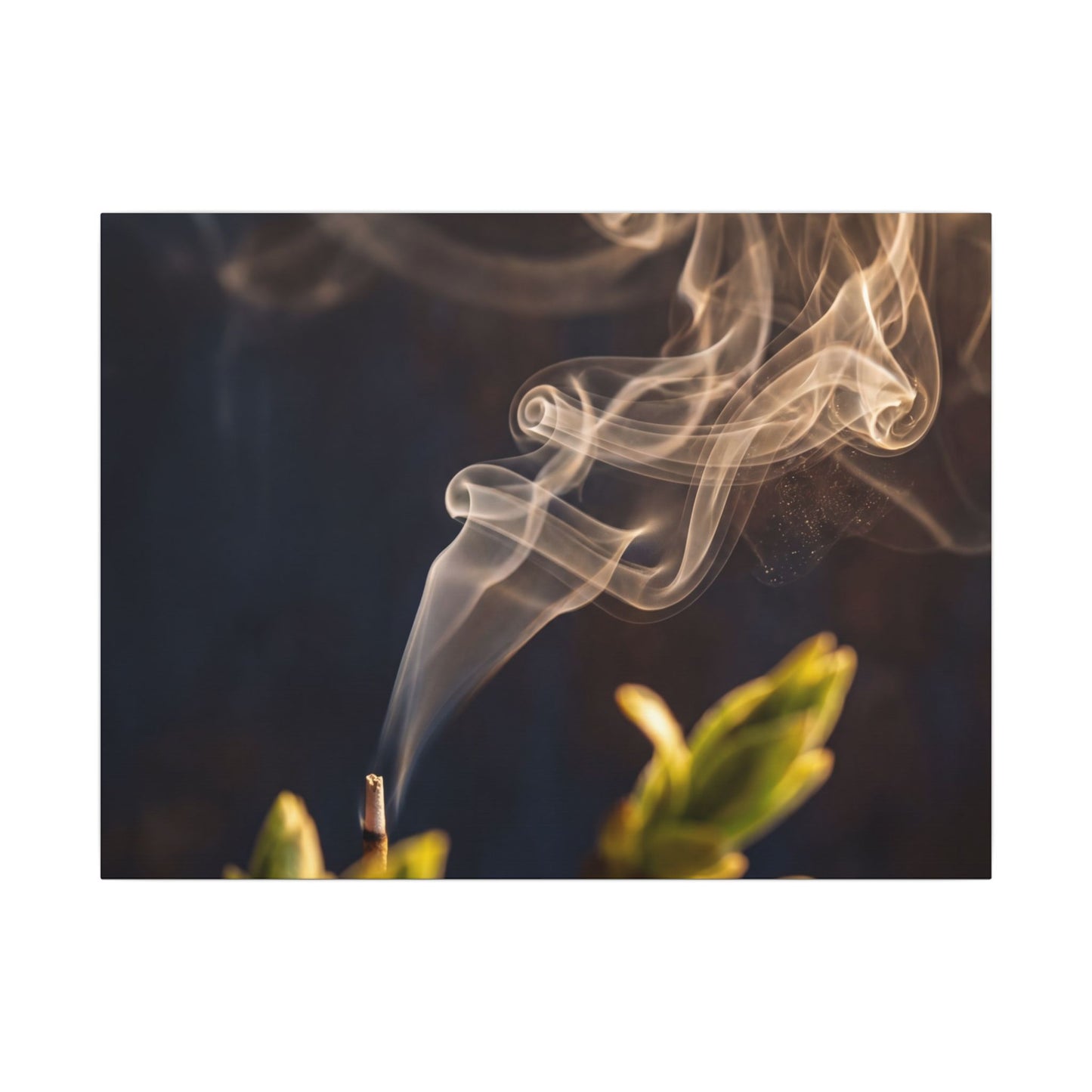 Incense Smoke Spring Canvas Art | Dark Japandi Atmospheric Design Art Print