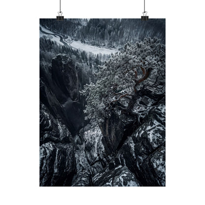 Pine Tree Wall Art Print | Winter Dark Japandi Dark Texture Art Art Print