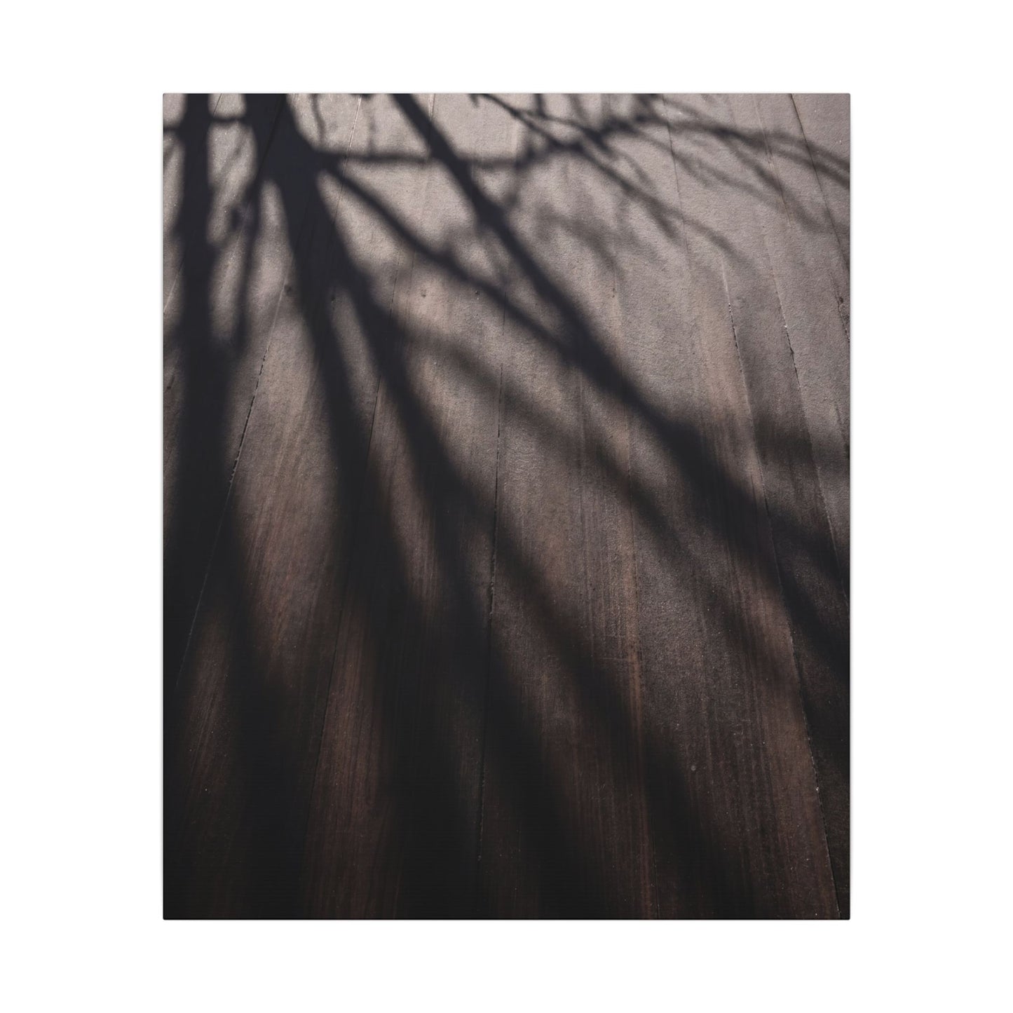 Dark Japandi Shadow Play in Dawn | Moody Minimal Canvas Art