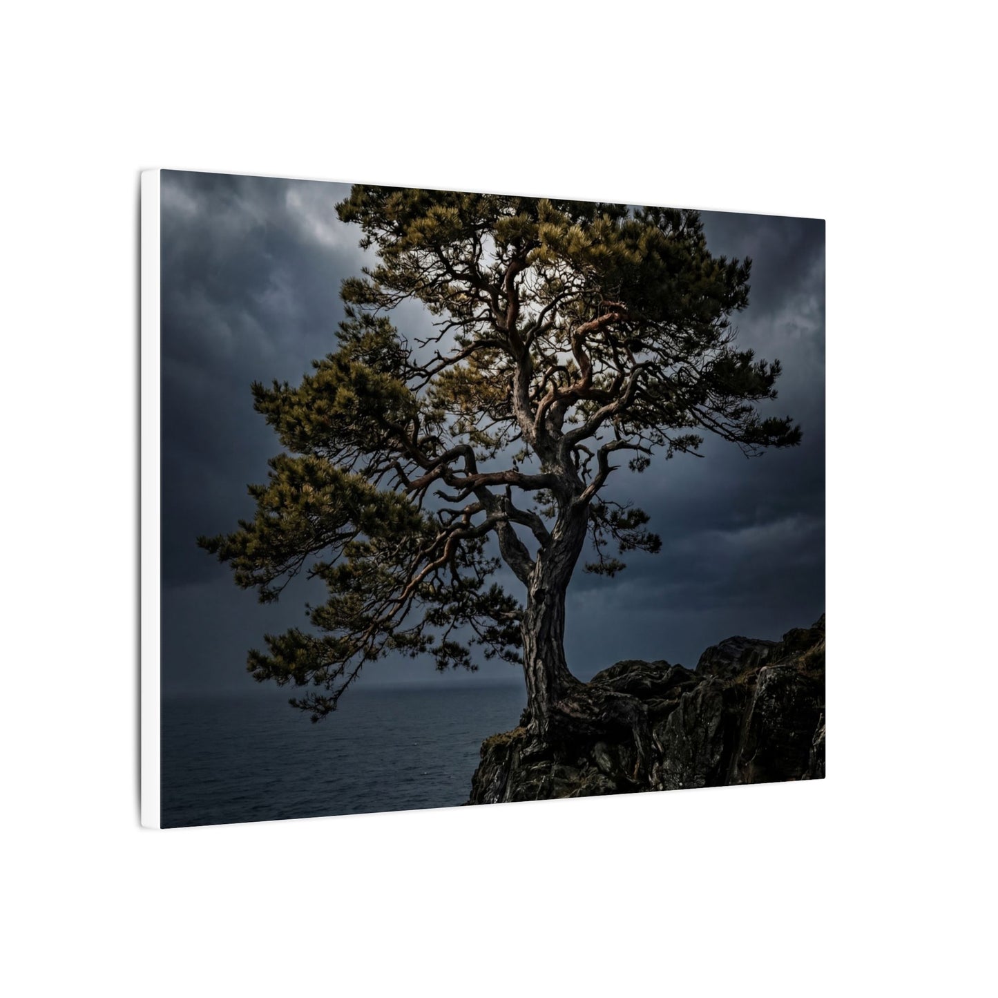 Dappled Pine Tree Canvas Art - Dark Japandi Fukinsei