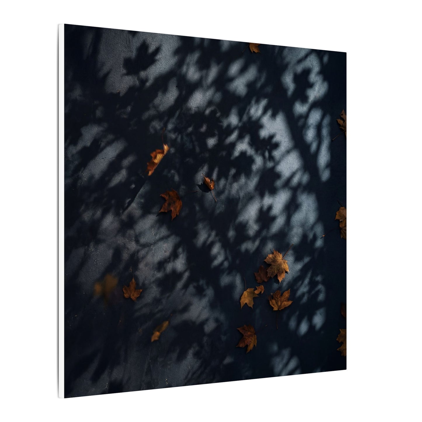 Autumn Shadow Play Shadow Zen Canvas Art | Atmospheric Decor
