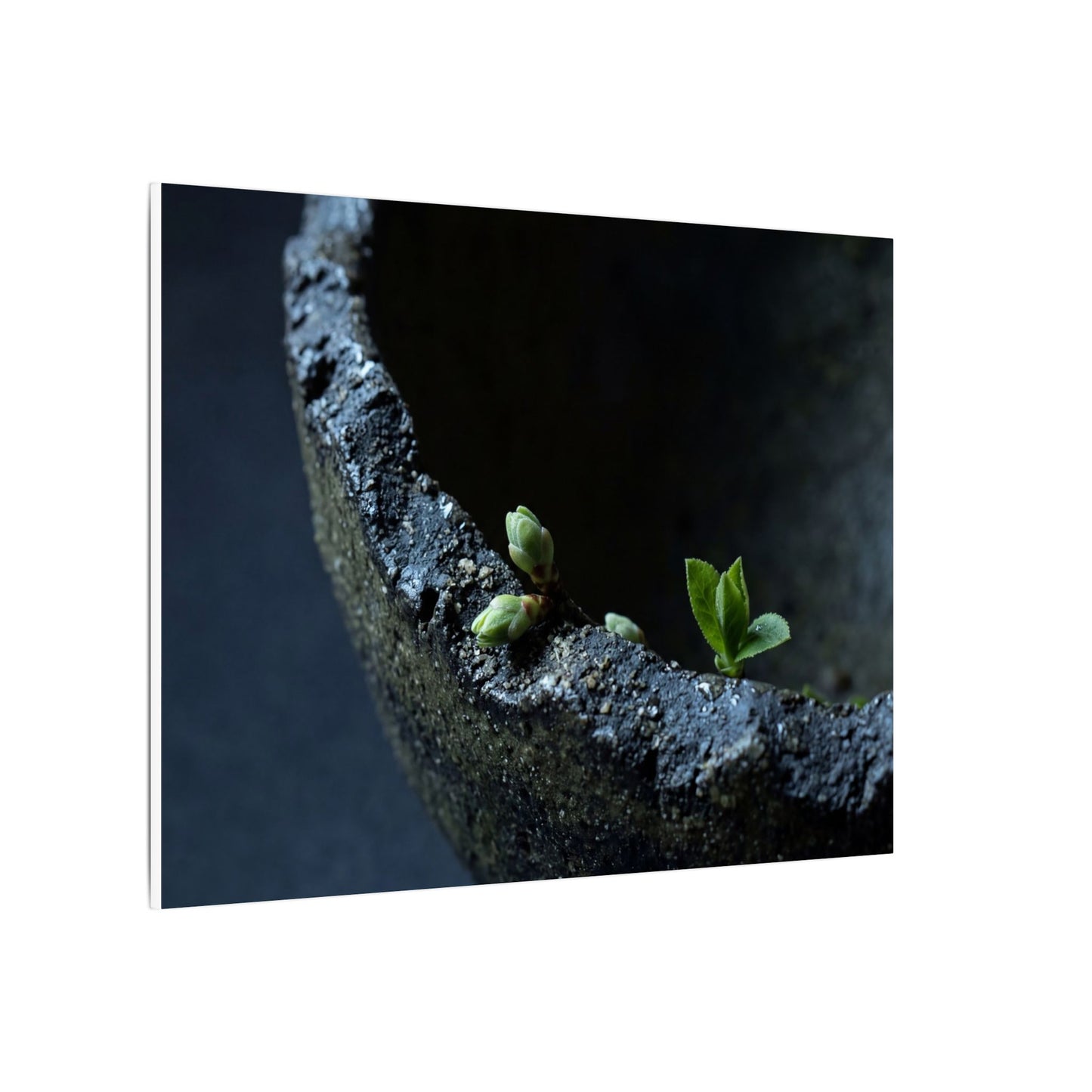 Dark Japandi Ceramic Bowl in Moonlight | Moody Minimal Canvas Art