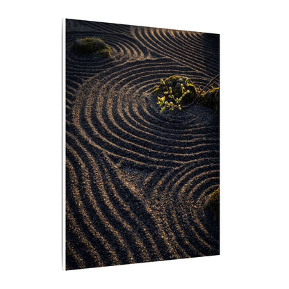 Spring Rock Garden Shadow Zen Canvas Art | Atmospheric Decor