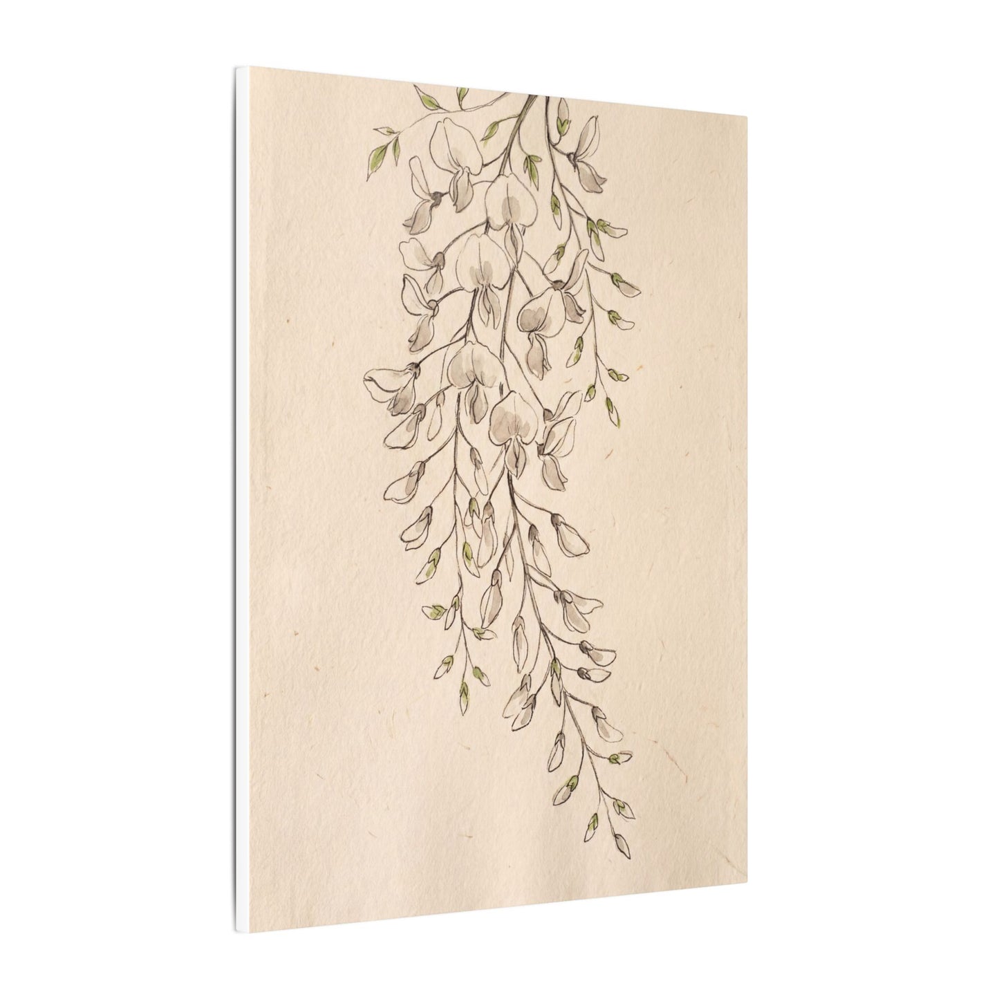 Japandi Wisteria in Golden Hour | Minimal Line Canvas Art