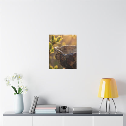 Golden Hour Ceramic Bowl Canvas Art - Dark Japandi Ma