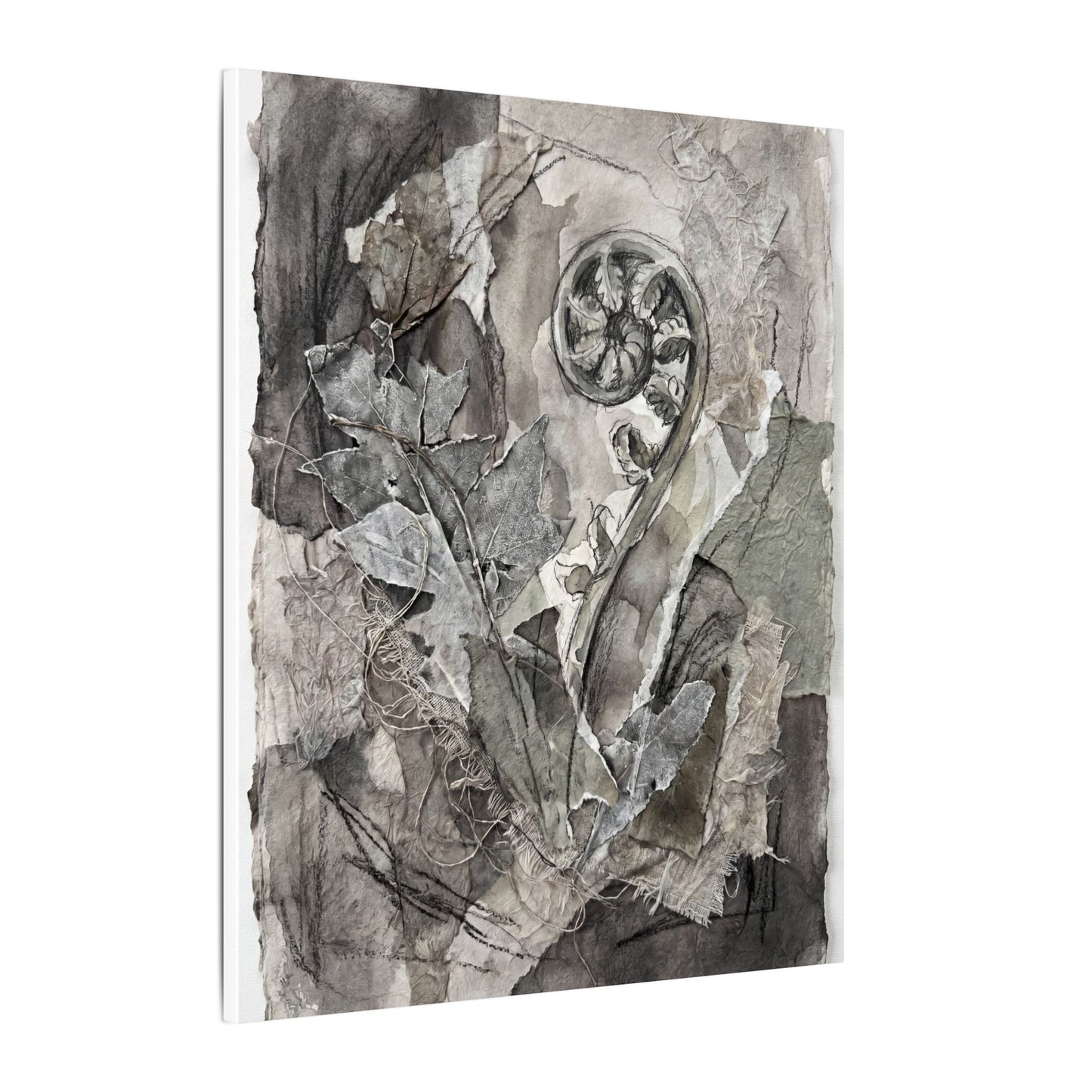 Japandi Fern Unfurling in Overcast | Texture Canvas Art
