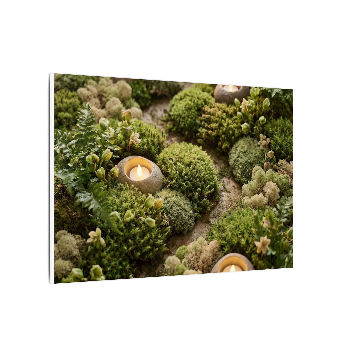 Moss Close Up Japanese Pattern Canvas Art | Neutral Japandi Art