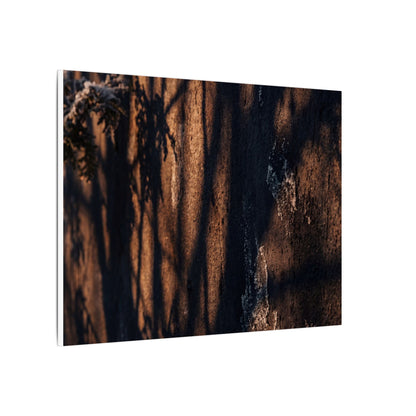 Golden Hour Shadow Play Canvas Art - Dark Japandi Fukinsei