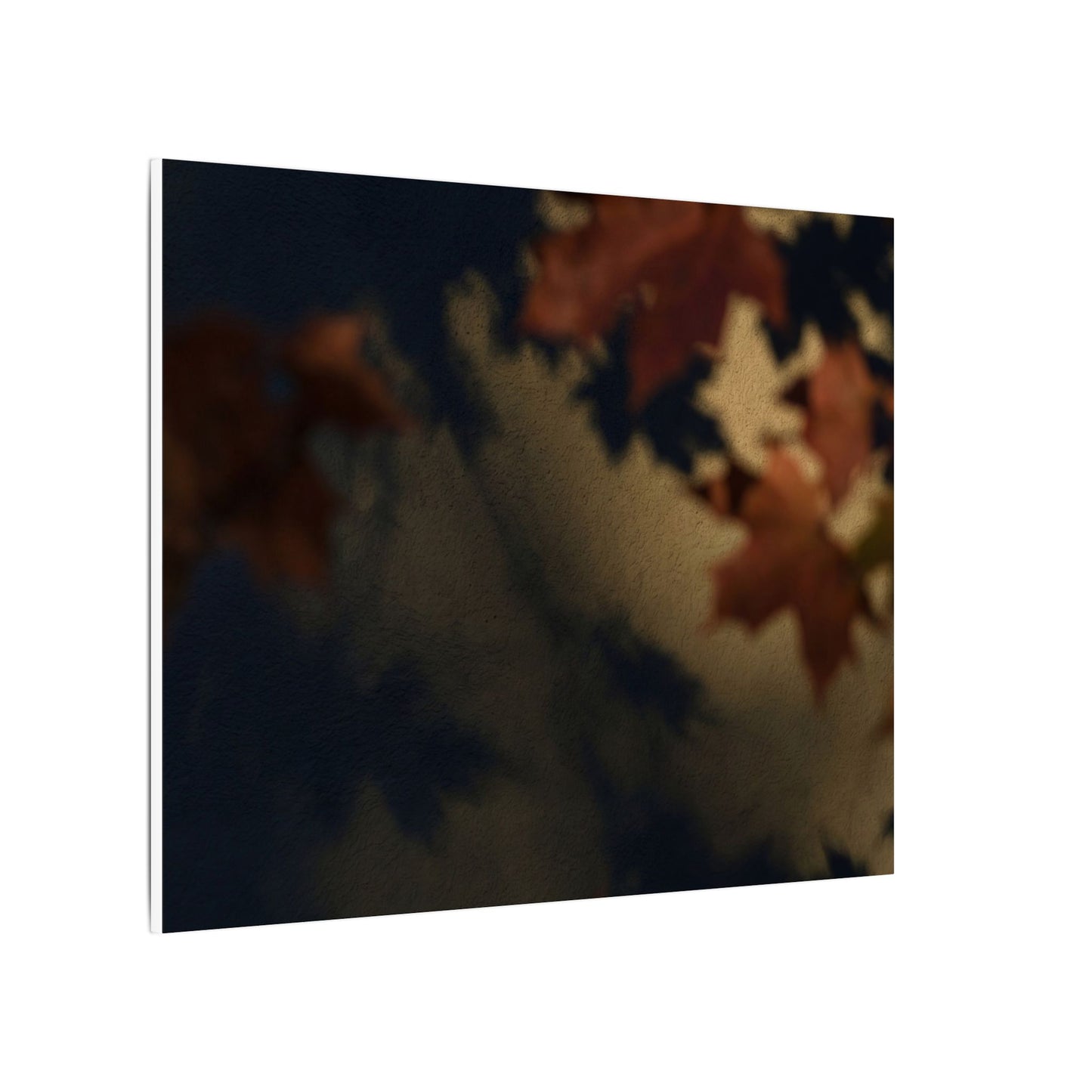 Shadow Play Canvas Art | Autumn Dark Japandi Moody Minimal Art