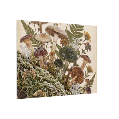Winter Wild Mushrooms Herbarium Canvas Art | Enchanting Decor