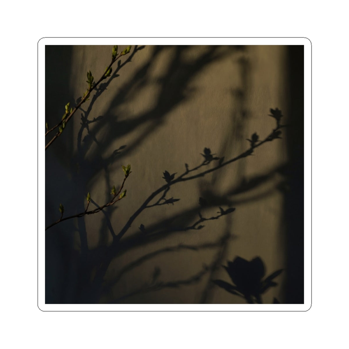 Shadow Play Sticker | Spring Dark Japandi Charcoal Ink Art