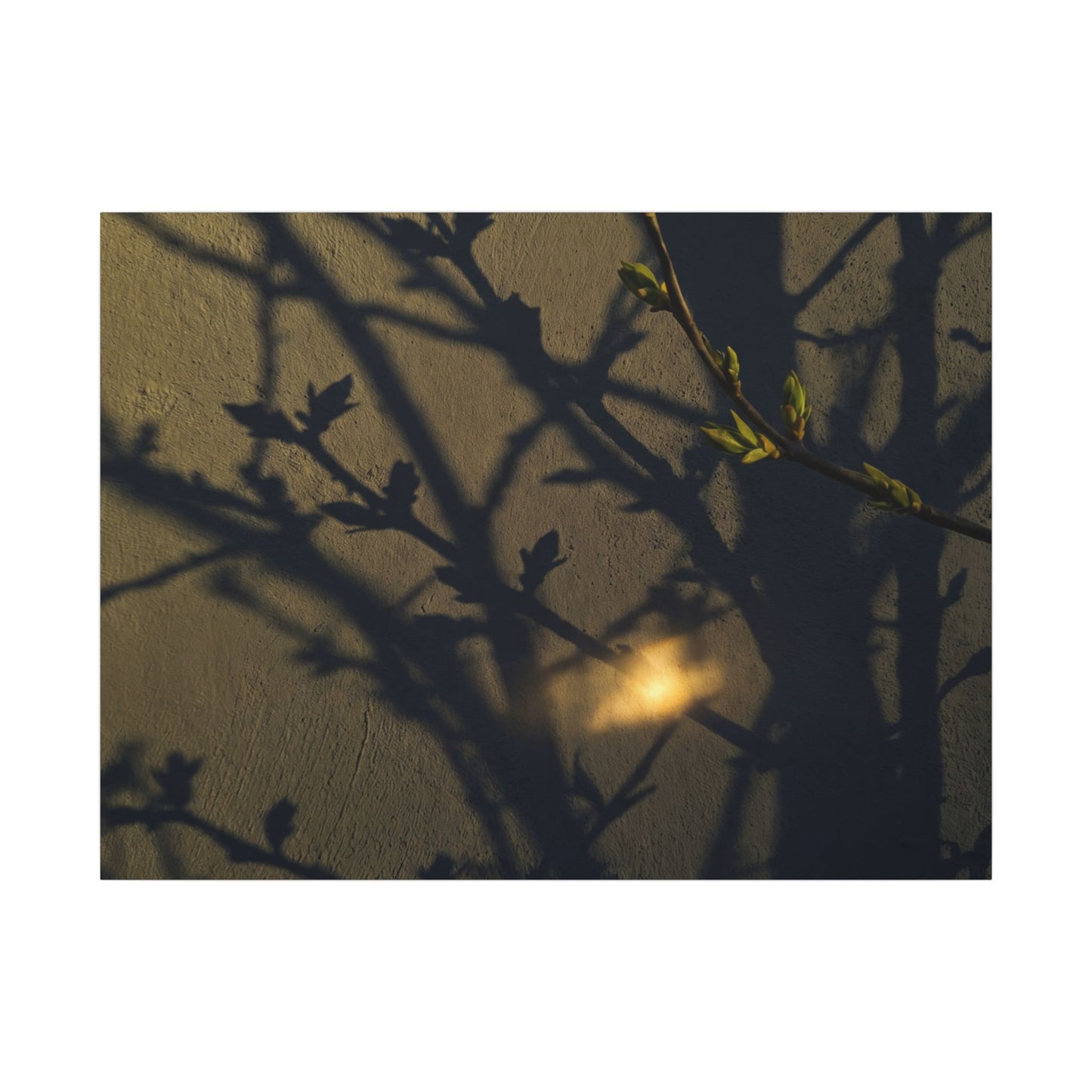 Bold Shadow Play Canvas Art - Moody Minimal Dark Japandi
