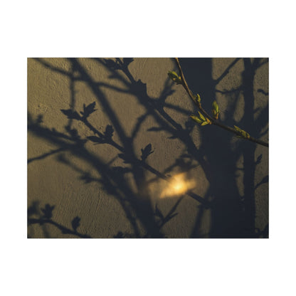 Bold Shadow Play Canvas Art - Moody Minimal Dark Japandi