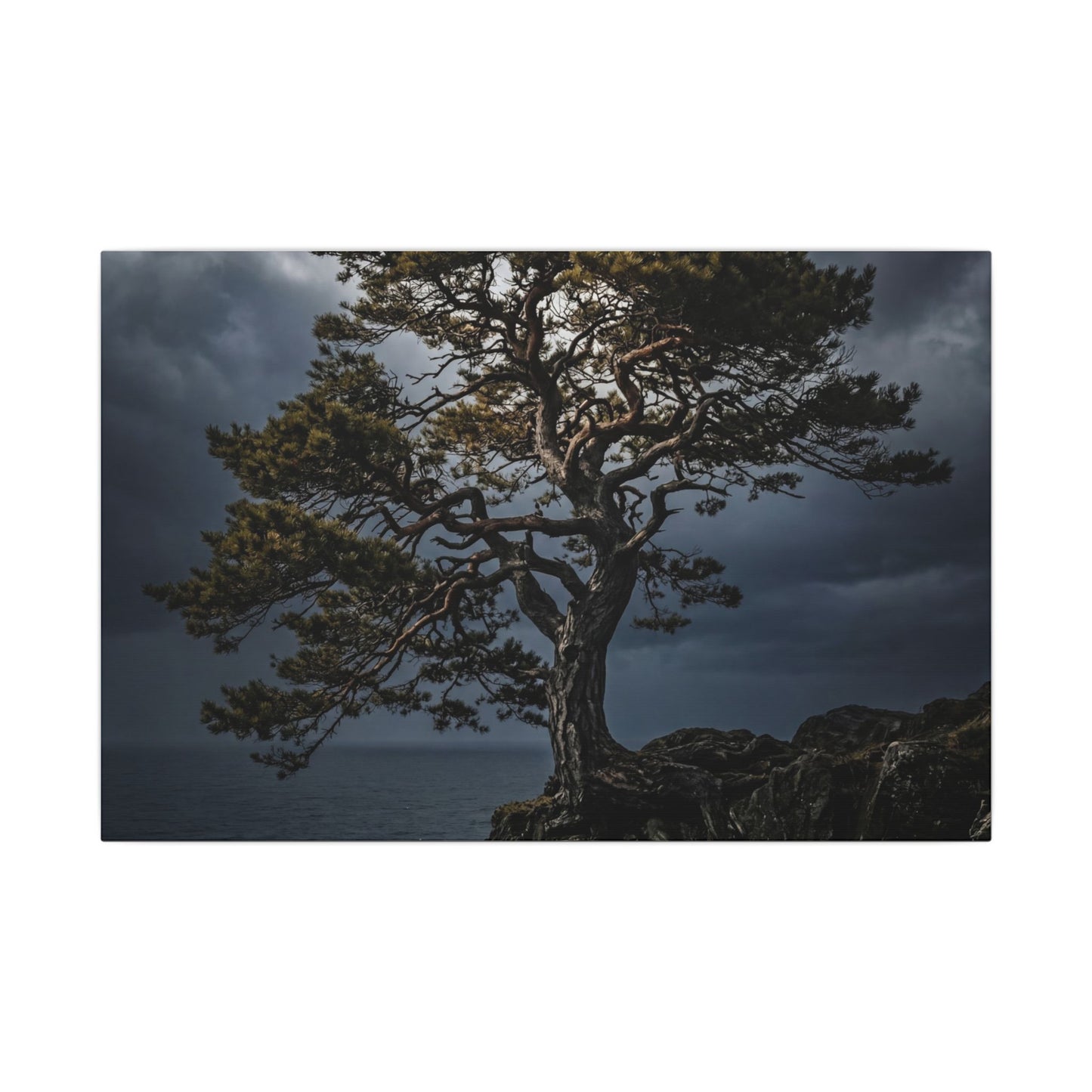 Dappled Pine Tree Canvas Art - Dark Japandi Fukinsei