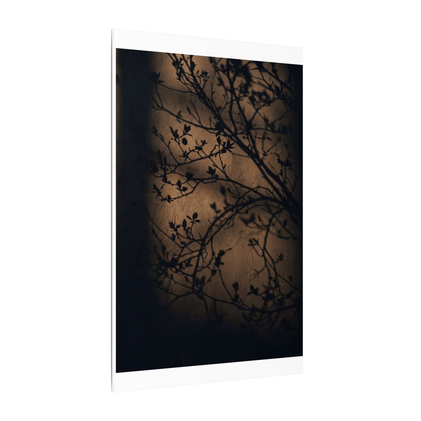Dark Japandi Shadow Play in Golden Hour | Shadow Zen Canvas Art