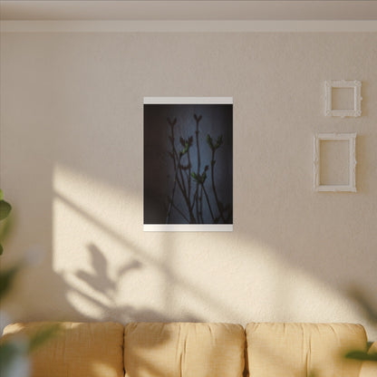 Shadow Play Spring Canvas Art | Dark Japandi Sophisticated Design